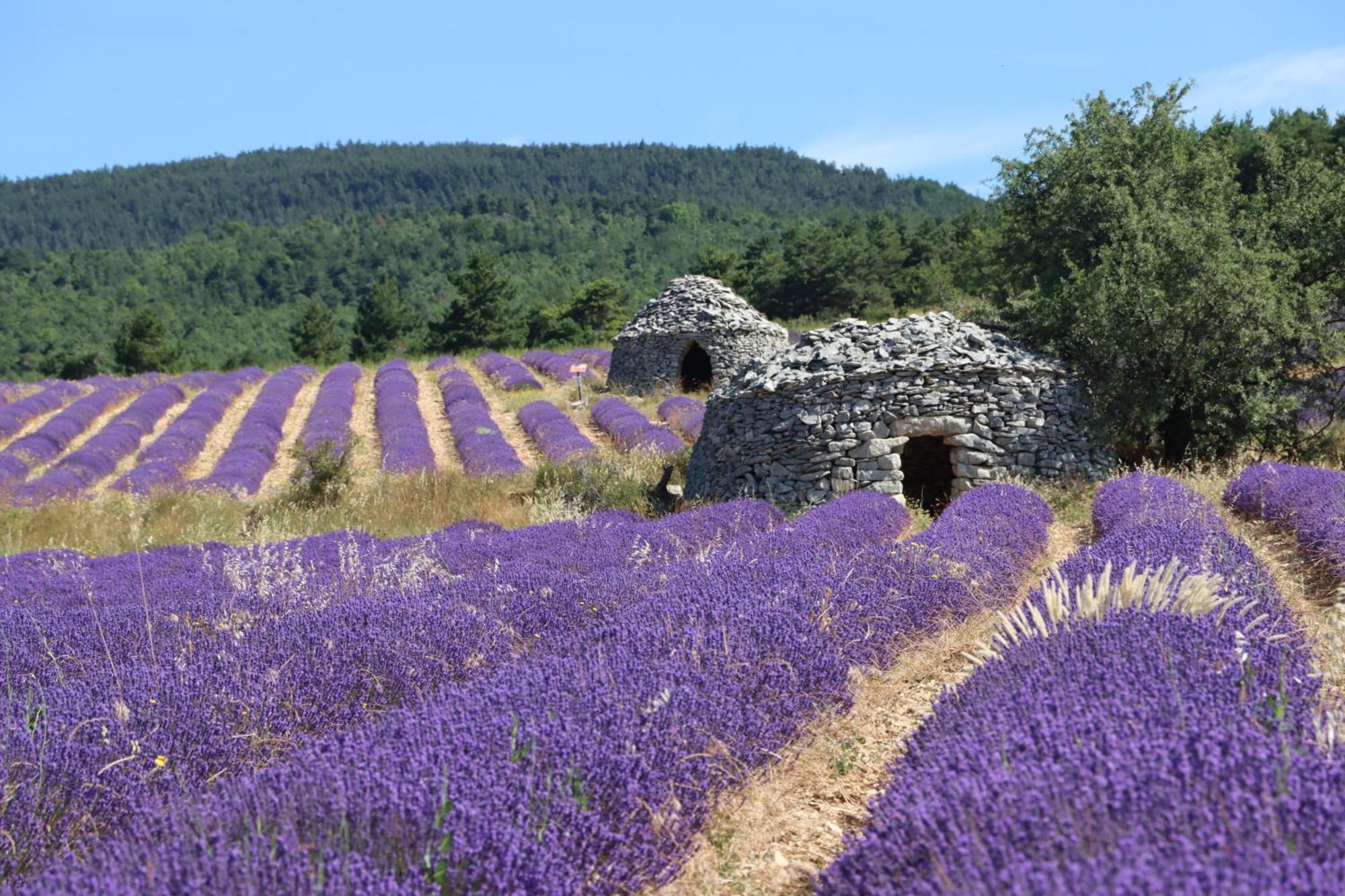 Studio Dans Le Luberon Cereste Bagian luar foto
